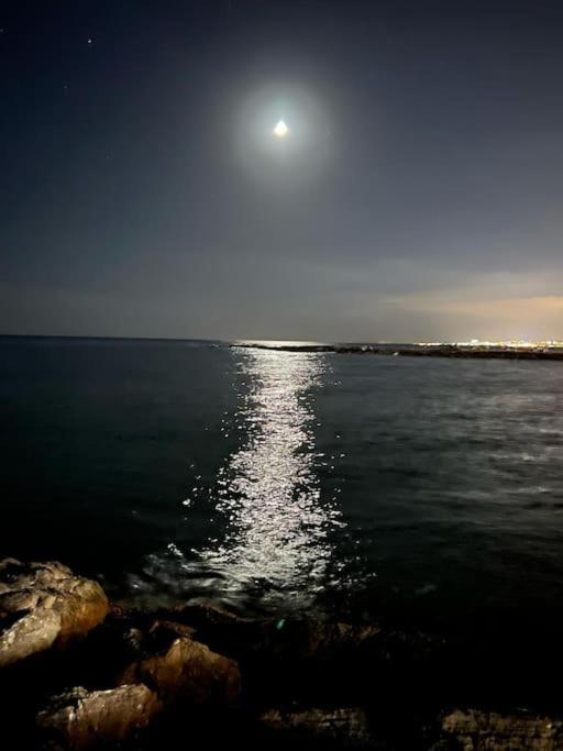 Espectacular Junto Al Mar, Con Piscina En Lägenhet *